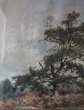 画像6: 西洋アンティーク　フランス　１９世紀　バルビゾン派　風景画　水彩　アート＆オブジェ (6)