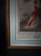 画像6: 西洋アンティーク　フランス　19世紀版画　スーブニール　想い出　ロココ　フラゴナール　アート＆オブジェ　平面 (6)