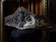画像1: 西洋アンティーク　女神のレリーフ　シャトーの室内装飾品　残欠　／アート＆オブジェ立体 (1)