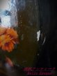 画像4: 西洋アンティーク　フランス　手描き静物画花の絵　丸い木箱　／室内装飾品　インテリア　様々な箱類 (4)