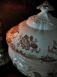 画像5: 西洋アンティーク　フランス　19世紀ヴィエイヤール・ボルドー　スーピエール　／テーブルウエアー　食器 (5)
