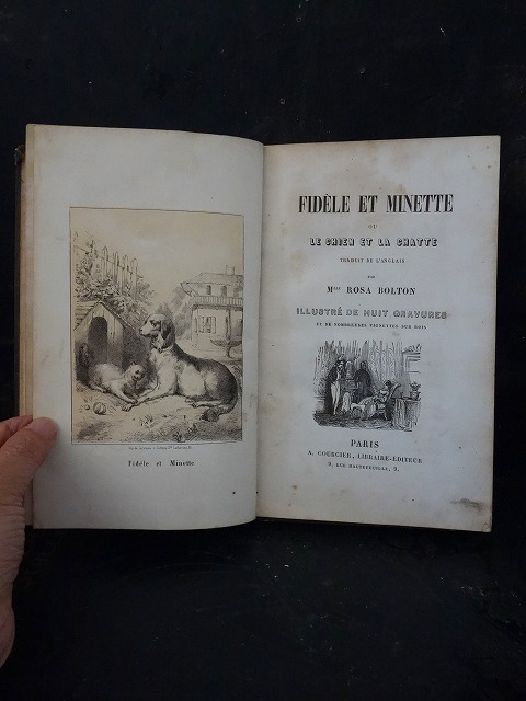 西洋アンティーク フランス 19世紀 絵本版画 犬と猫 パリ出版 ／古書