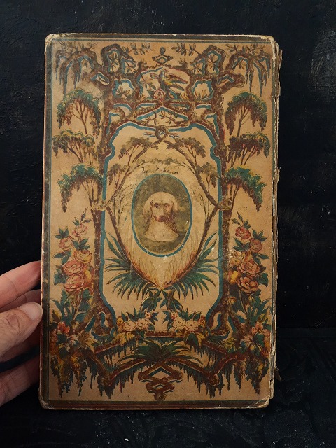 西洋アンティーク フランス 19世紀 絵本版画 犬と猫 パリ出版 ／古書